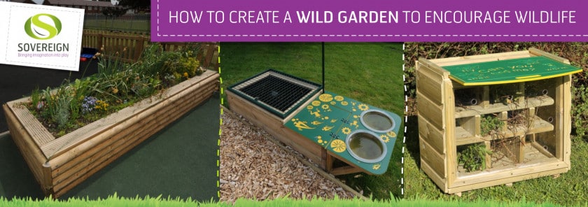 How to Create a Wild Garden to Encourage Wildlife and Insects