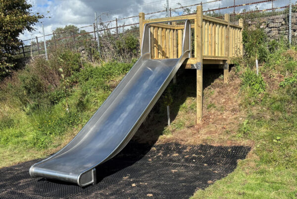 Custom Tower and Slide