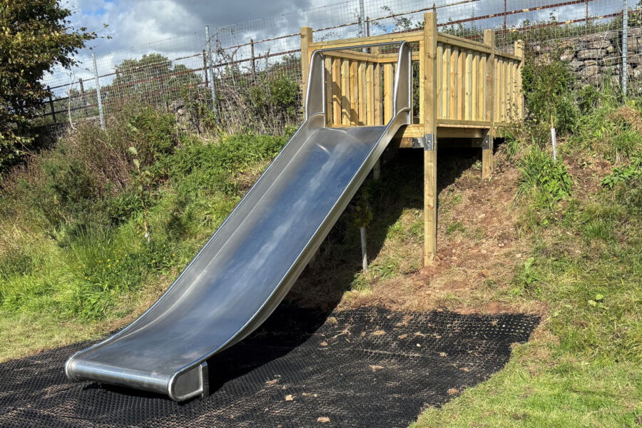 Custom Tower and Slide