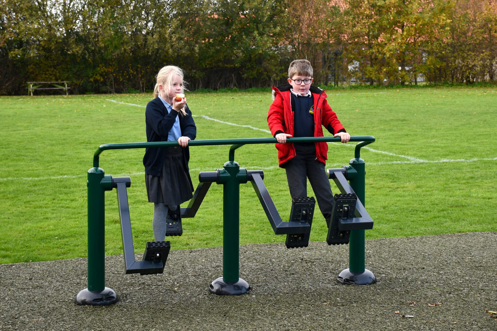 Image of Double Health Walker