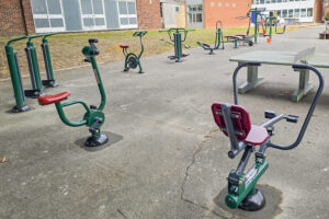 Outdoor Adult Gym Equipment