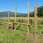Tree Top Tangle Trail