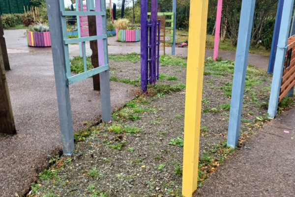 Area Before Sensory Path Installation