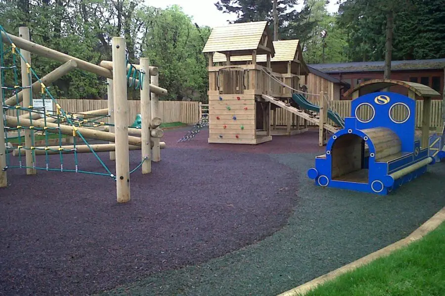 case study darwin forestjpg